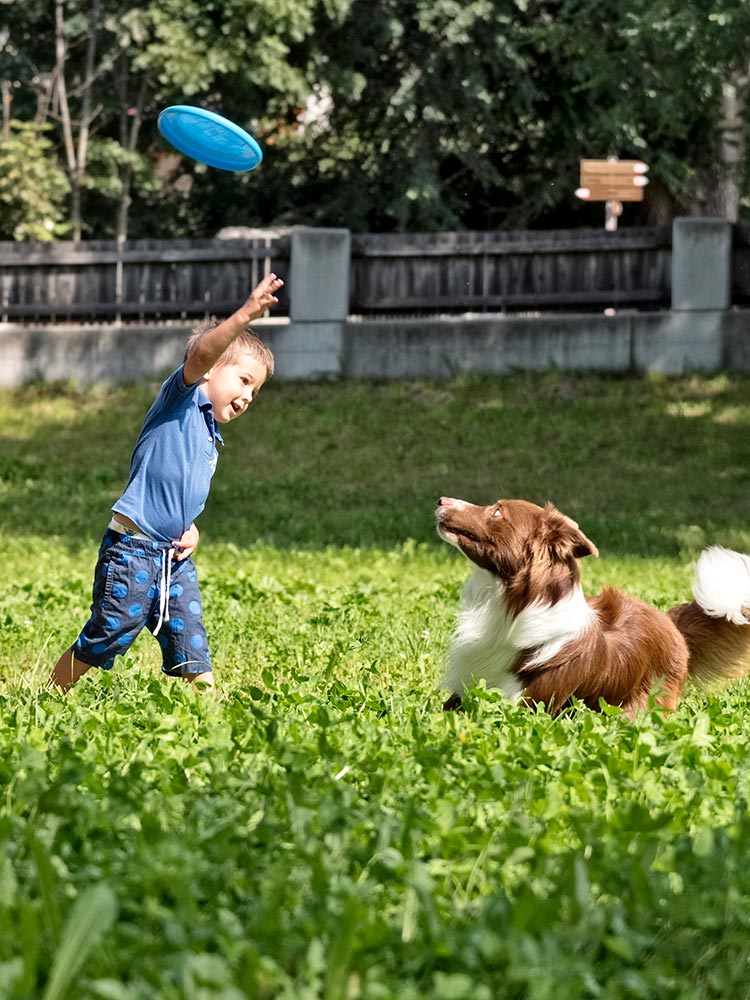 The happiness of a lawn