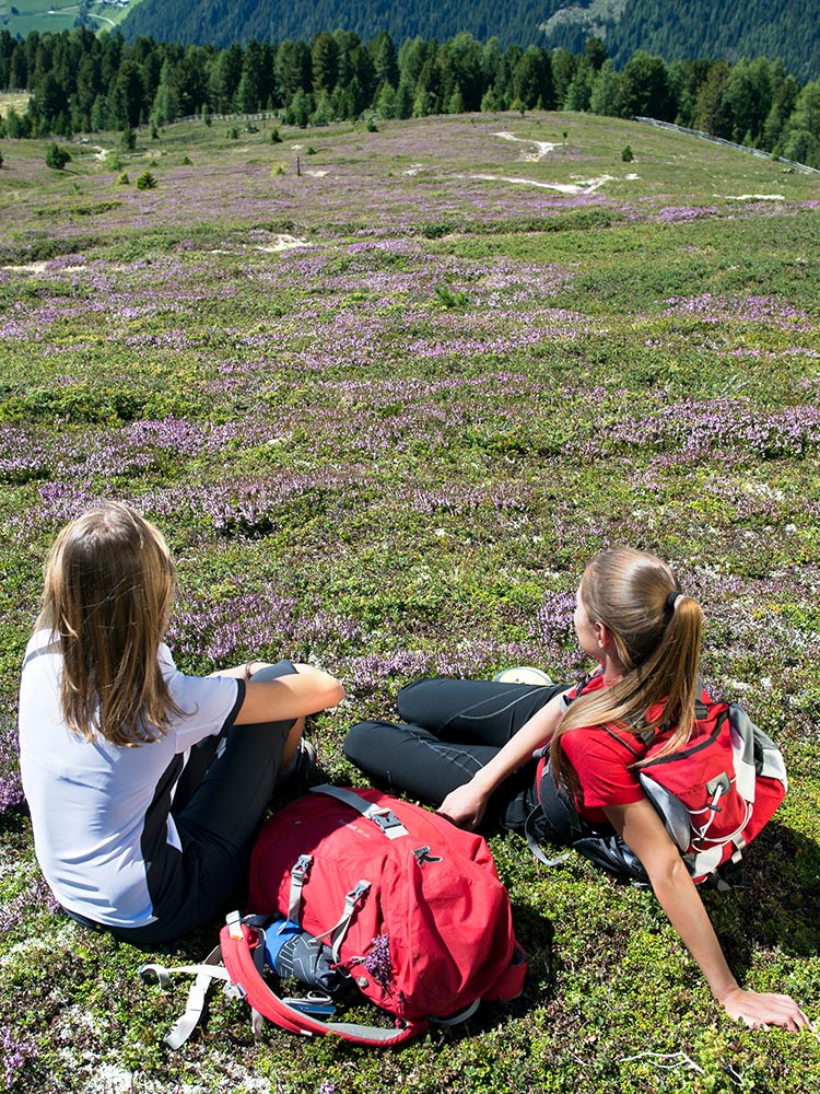 Hiking Service - Hiking Backpack + Hiking Sticks