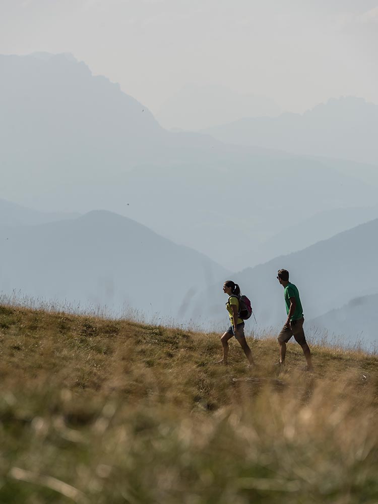 Hiking holiday Pustertal