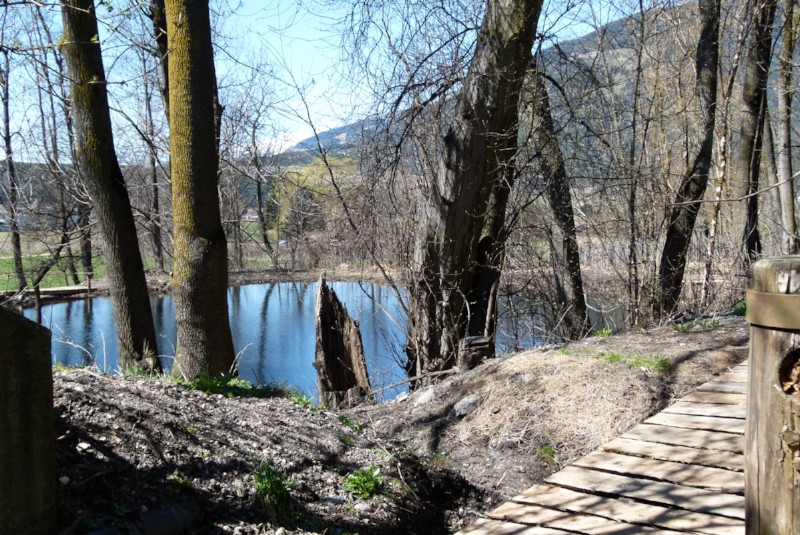 Der Eingang zum Niedermair Weiher
