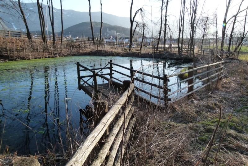Schöne Stege zierten den Weiher