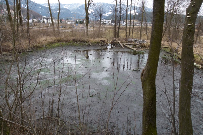 Das Wasser ist ausgelassen