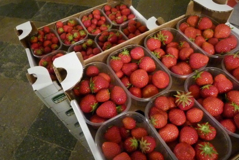 15 Kisten frische Erdbeeren warten auf die Verarbeitung