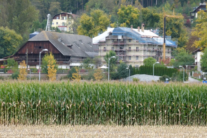 Gerüst und Maisfeld stehen am 06.10.2014