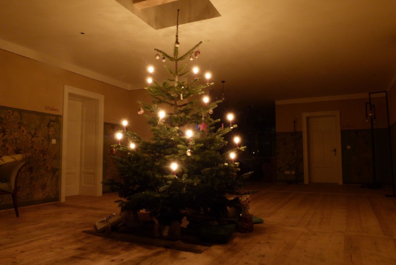 Weihnachtsbaum Niedermairhof