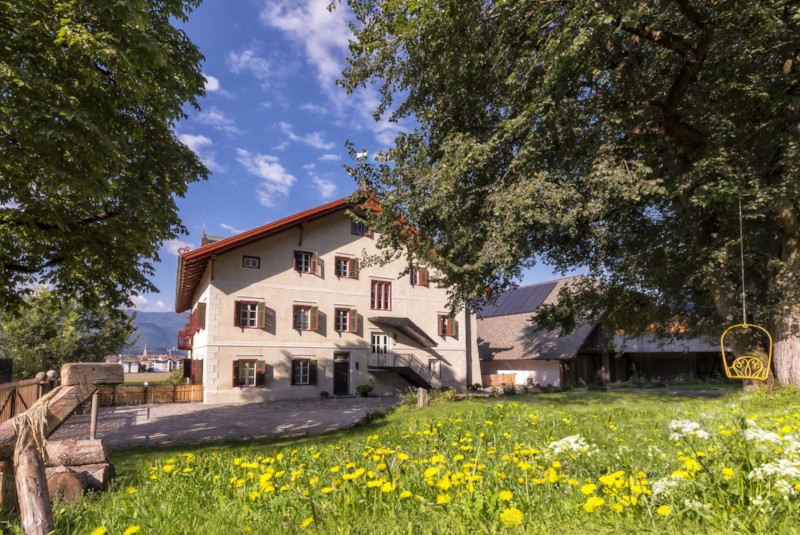 … und so sieht es im Löwenzahnmeer aus (mit Mähne)