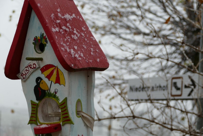 Vogelhaus im Schnee