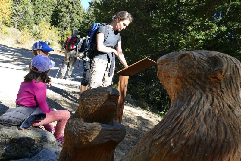 Murmeltierweg Terenten