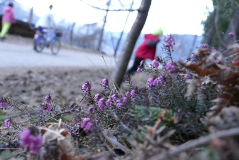 Greiterhofrunde am Abend